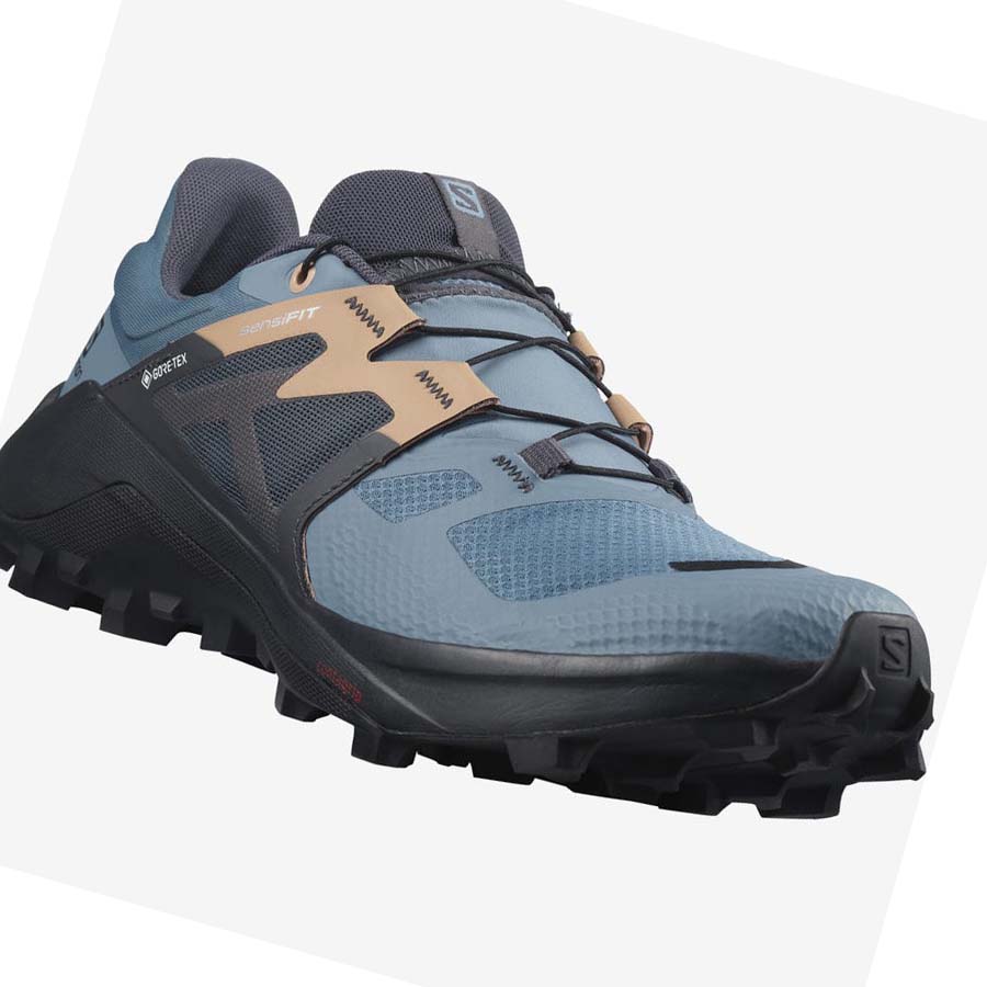 Salomon WILDCROSS 2 GORE-TEX Kadın Patika Koşu Ayakkabısı Mavi | TR 2769AHK